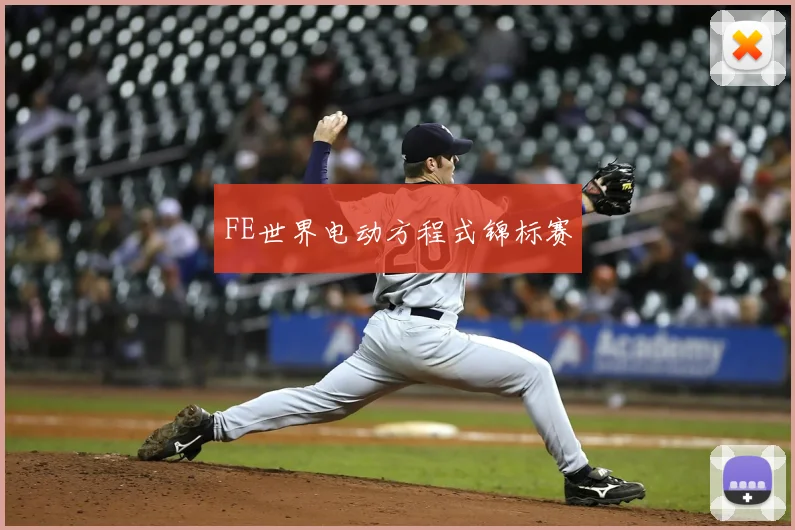 FE世界电动方程式锦标赛