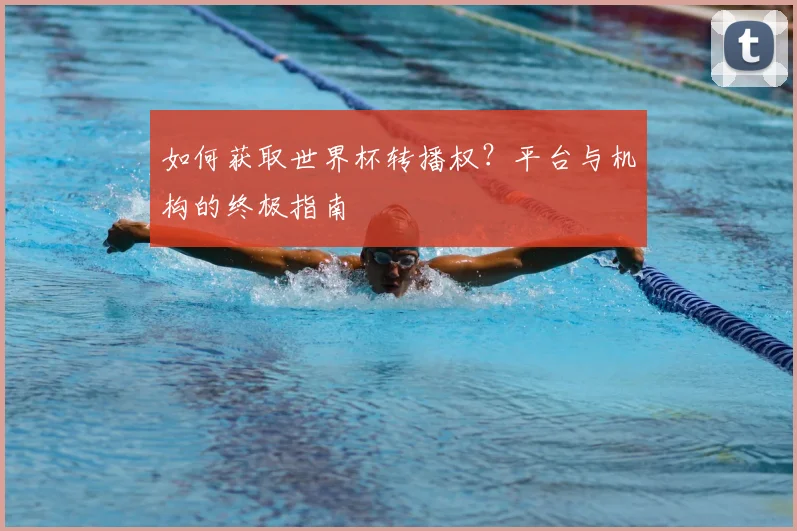 如何获取世界杯转播权?平台与机构的终极指南