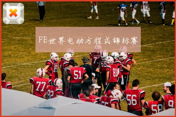 FE世界电动方程式锦标赛