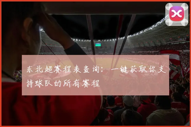 东北超赛程表查询:一键获取你支持球队的所有赛程