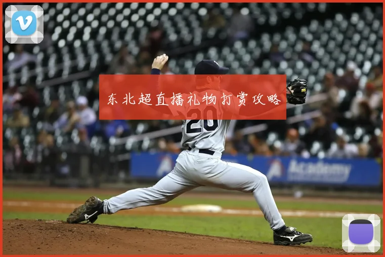 东北超直播礼物打赏攻略